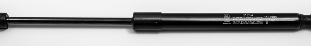 31254